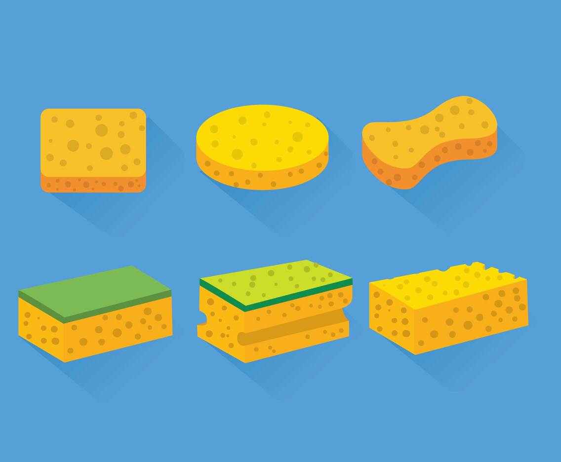 Sponge vector set