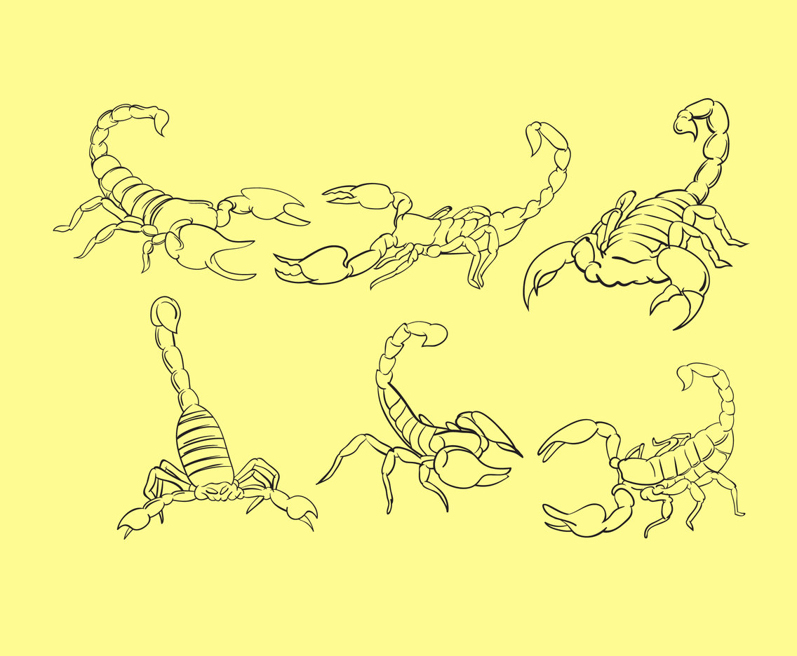 Outlined Scorpions Vector