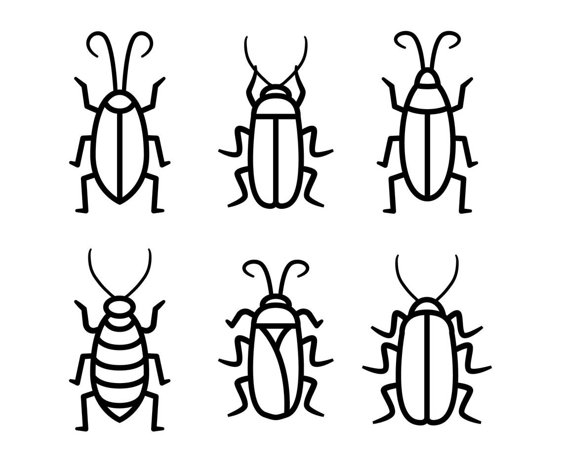 Cockroach vector set