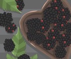 Blackberry Fruit Vector