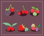 Berries Fruit Vector