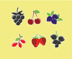 Berries Illustration Vector