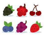 Berries Fruit Collection On White Vector