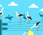 Storks on Electricity Wires Vector
