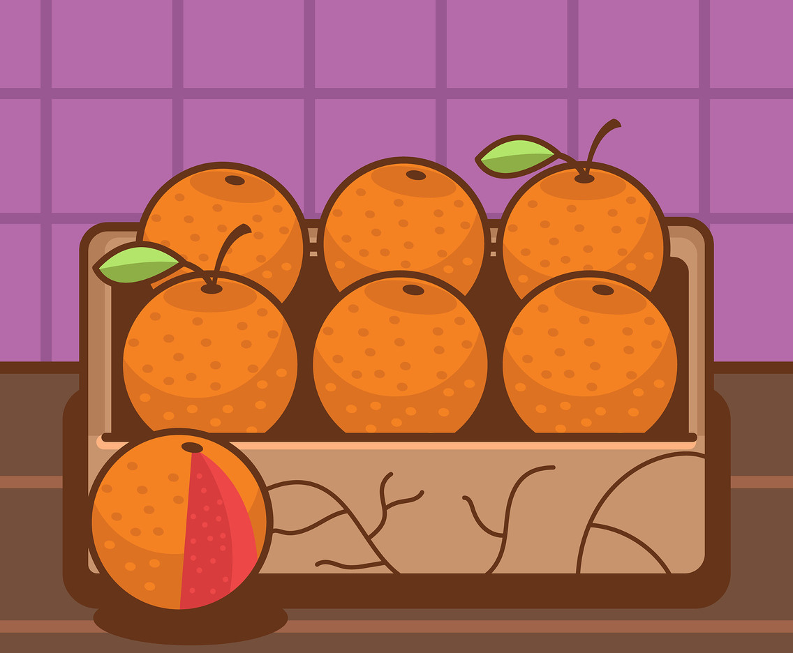 Grapefruit in a Tray Vector