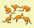 Cartoon Kangaroo Vector
