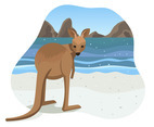 Kangaroo on Beach Vector