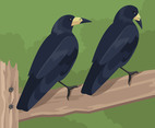 Two Rooks Vector