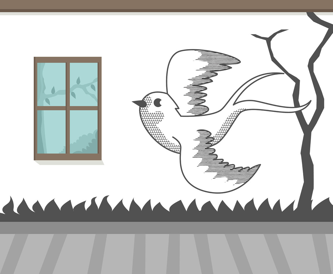 Swallow on Wall Vector