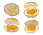 Clam On White Vector
