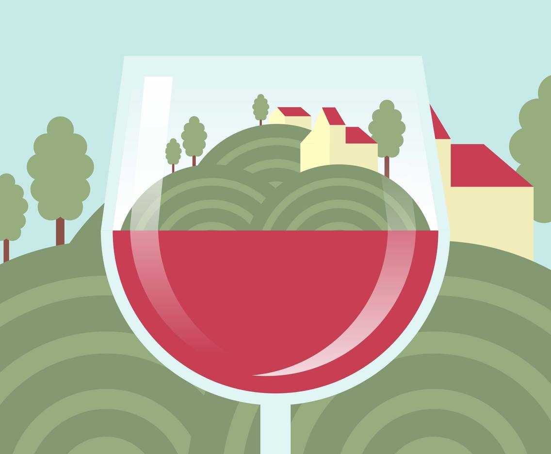 Vineyard Scenery First Person Illustration Vector