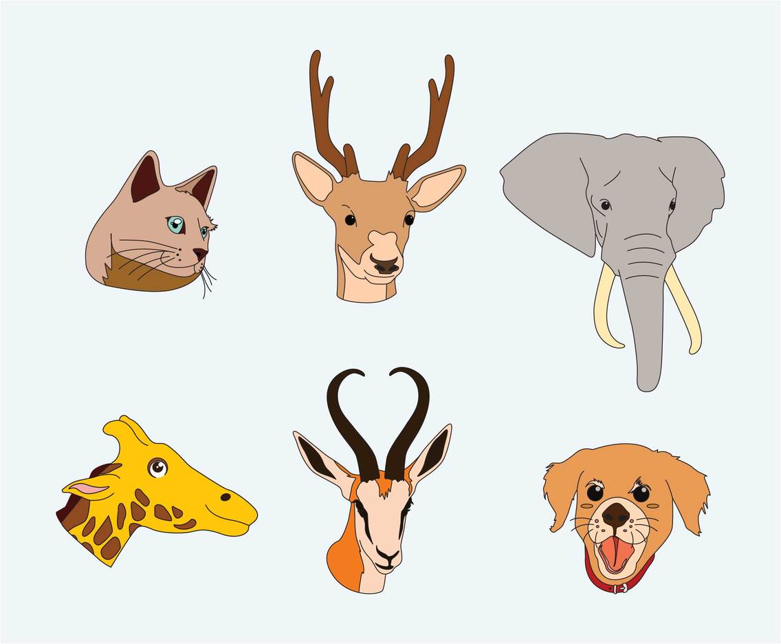 Animal Faces Illustration Vector