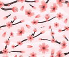 Seamless Pattern of Cherry Blossom