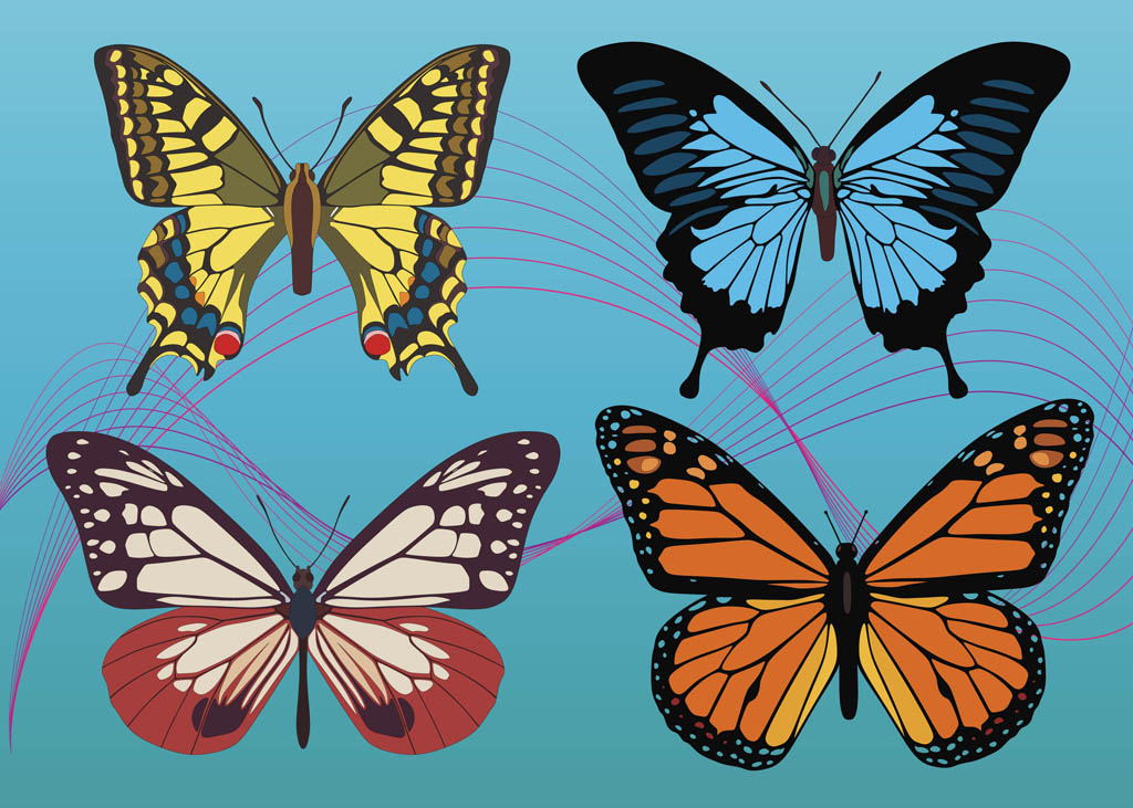Colorful Butterfly Vectors