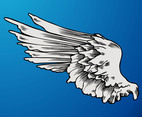 Angel Wing Graphics