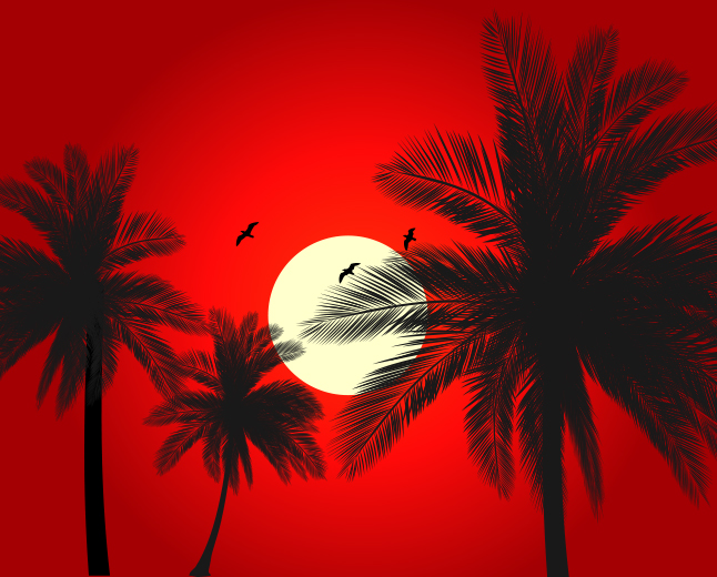 Red Palm Tree Sunset Vector