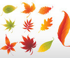 Swirling Leaves Graphics