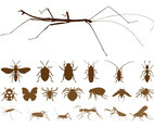 Insect Silhouettes Set