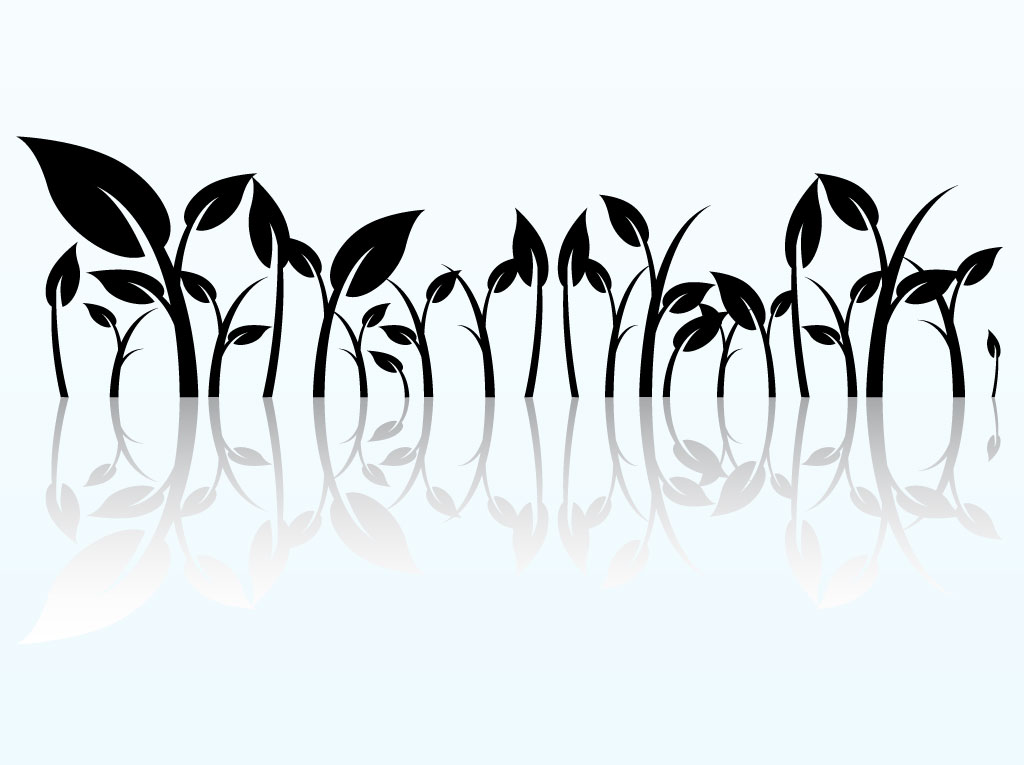 Reflected Plant Graphics