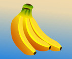 Bananas Vector