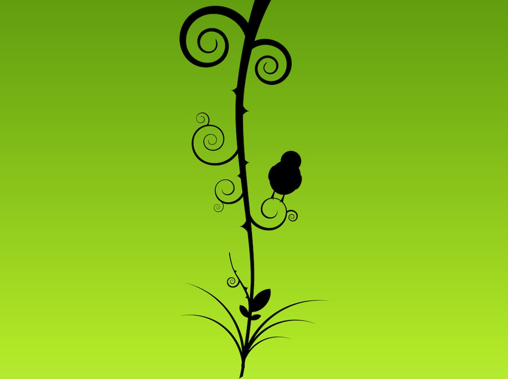 Plant With Bird