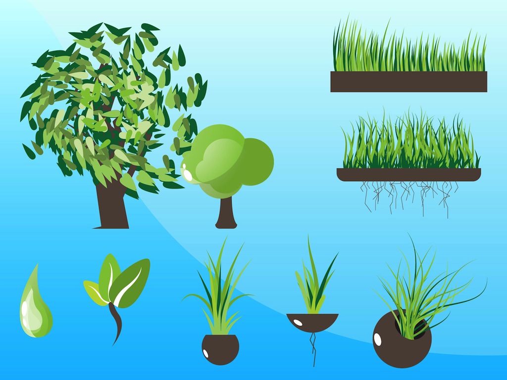 Plants Graphics Vectors