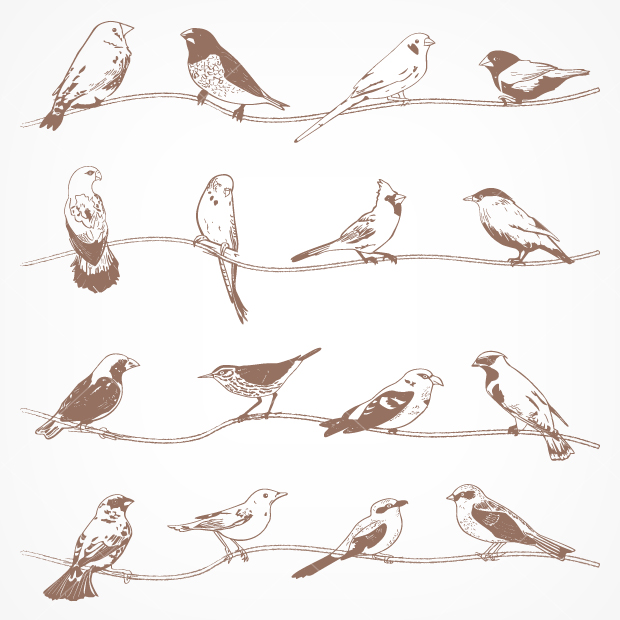 Birds on Branches Vector Pack