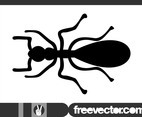 Ant Silhouette Graphics