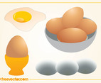 Egg Vectors