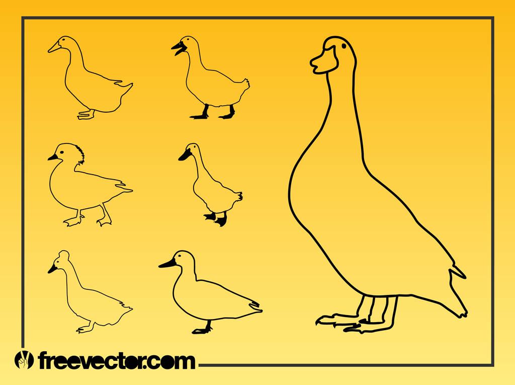 Domestic Geese Vector
