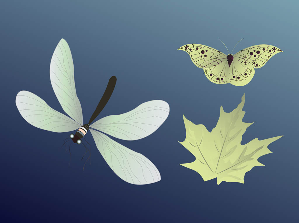 Insects And Leaf