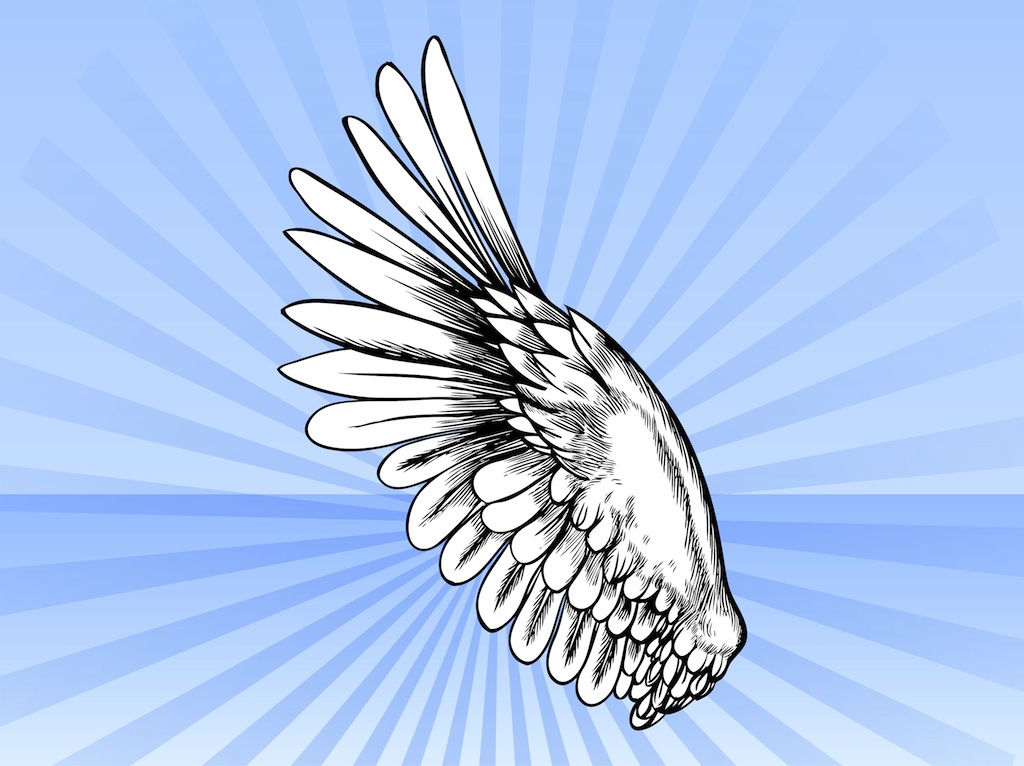 Bird Wing Vector