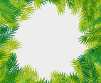Tropical Leaves Vector Frame