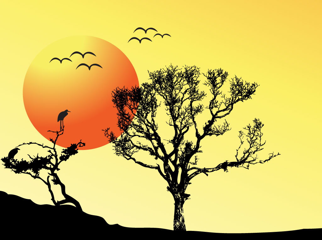 Tree Sunset Background