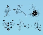Beautiful Flowers Vector Images