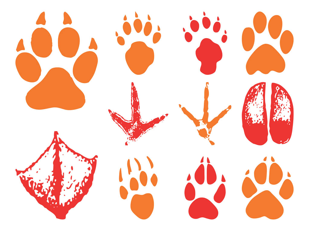 free clipart animal footprints - photo #8