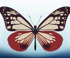 Butterfly Vector Design