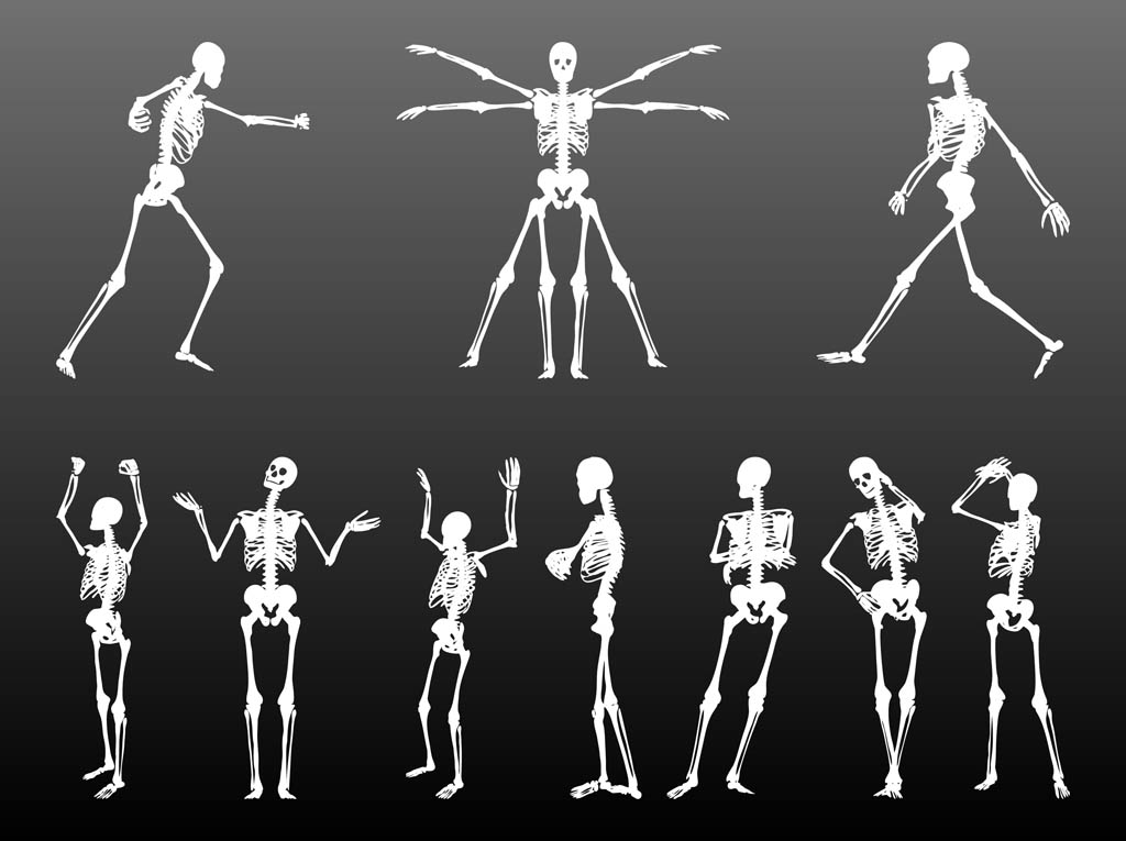 Human Skeletons Set