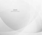 White Background