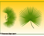 Palm Leaves Graphics