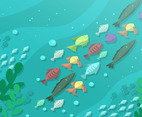 Ocean Background