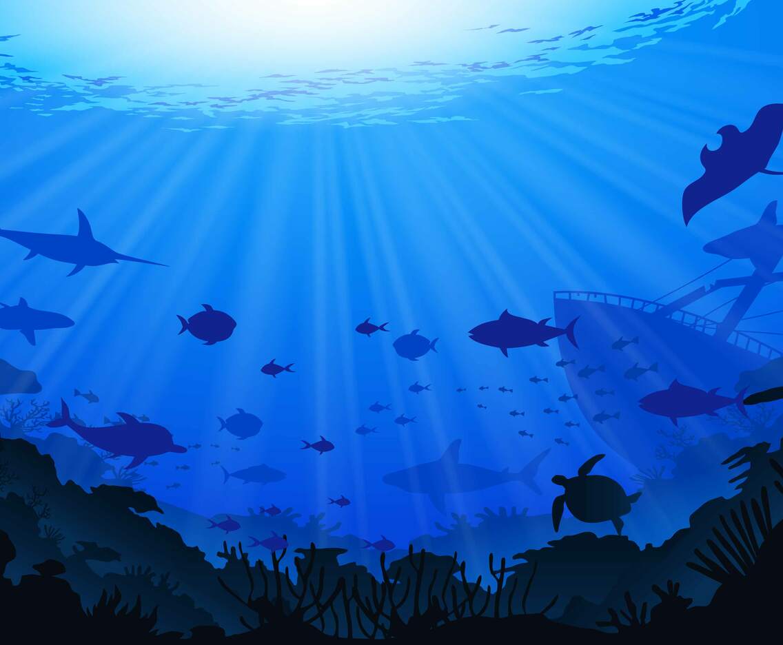 Ocean Background