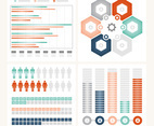 Vector Infographic Illustration