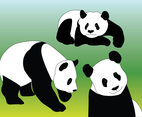 Panda Vectors