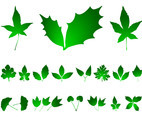 Leaves Graphics Pack
