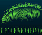 Palm Leaves Silhouettes
