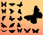 Butterfly Silhouettes