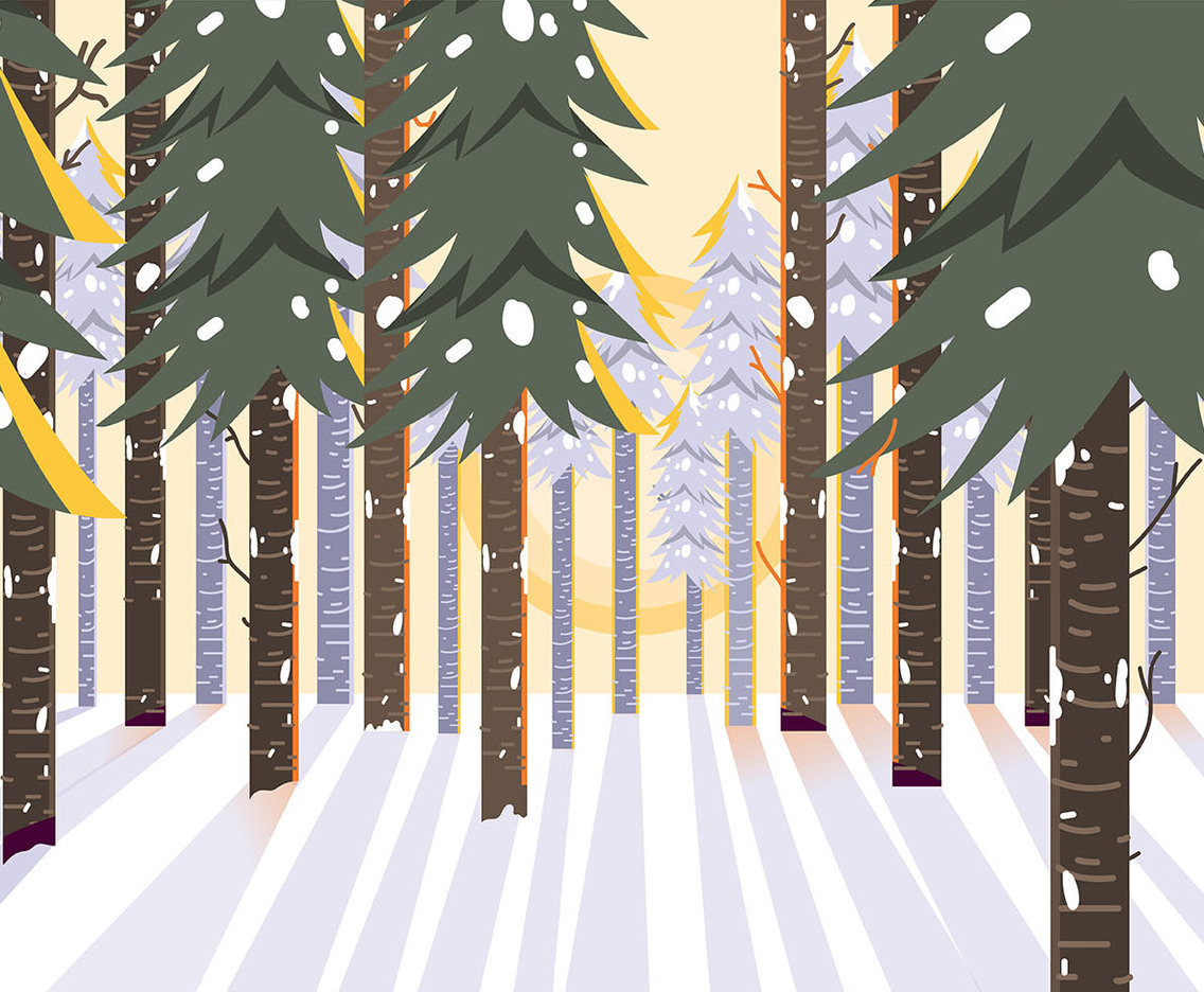 Winter Forest