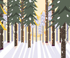 Winter Forest