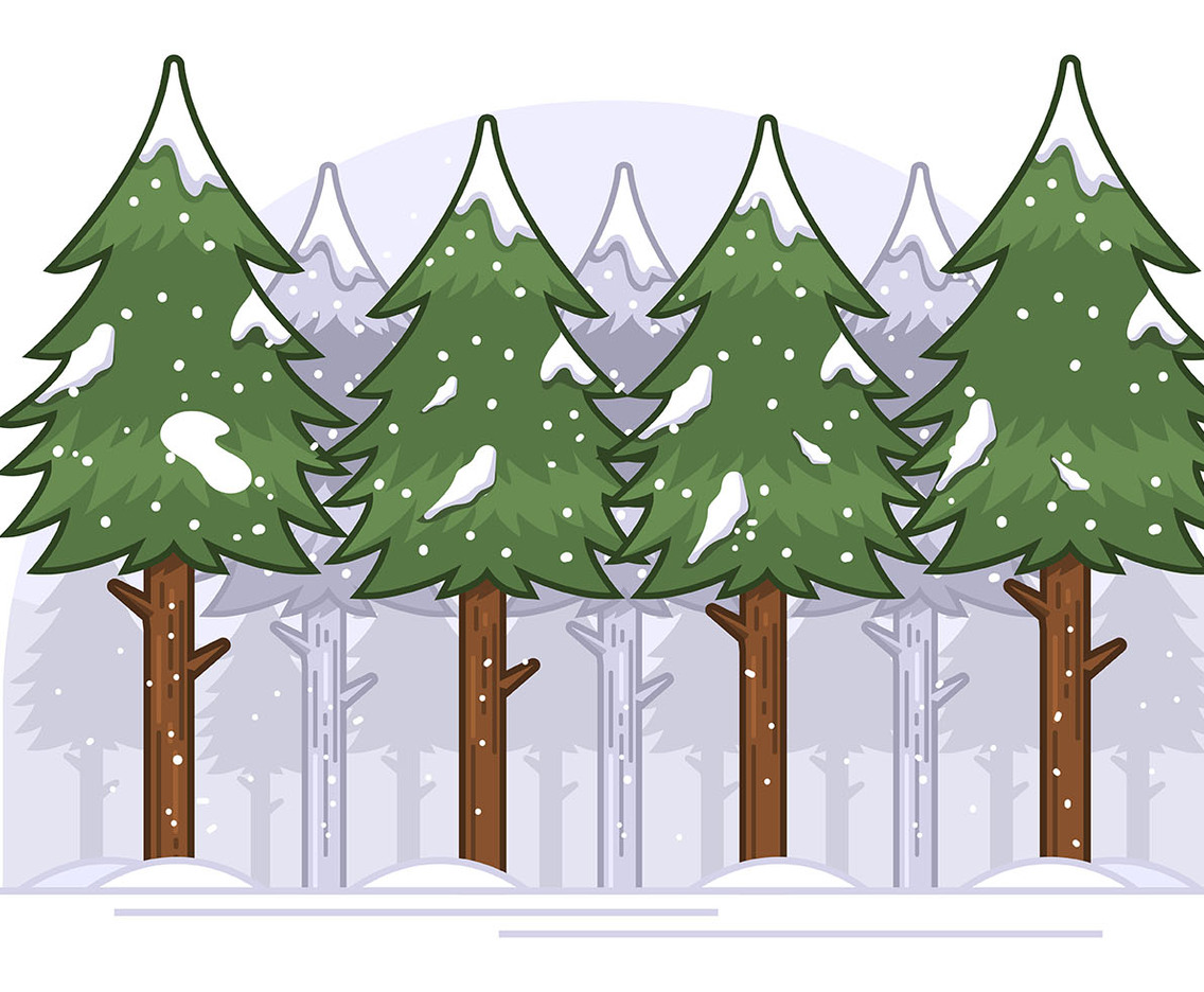 Winter Forest
